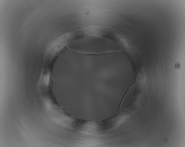 X0000111820076200908131533