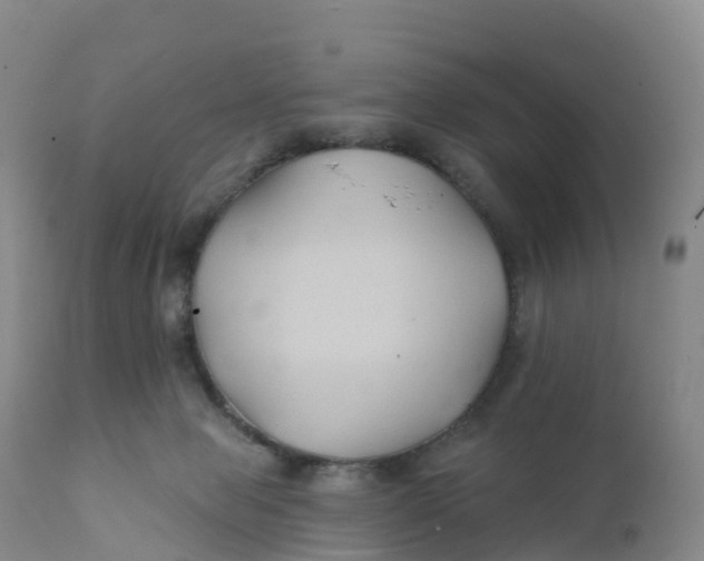 X0000111820077200908131533