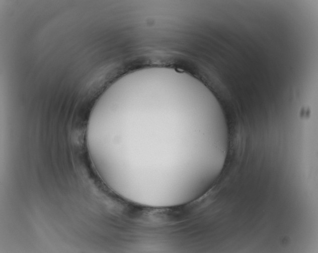 X0000111820078200908131533