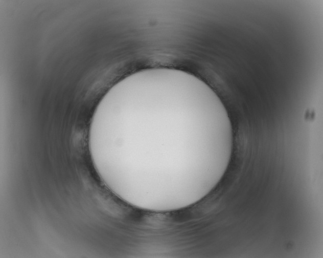 X0000111820079200908131533