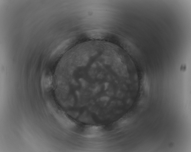 X0000111820081200908131533