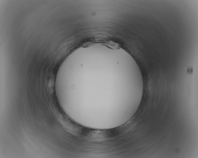 X0000111820082200908131533