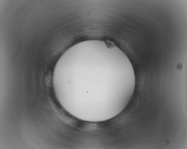 X0000111820083200908131533