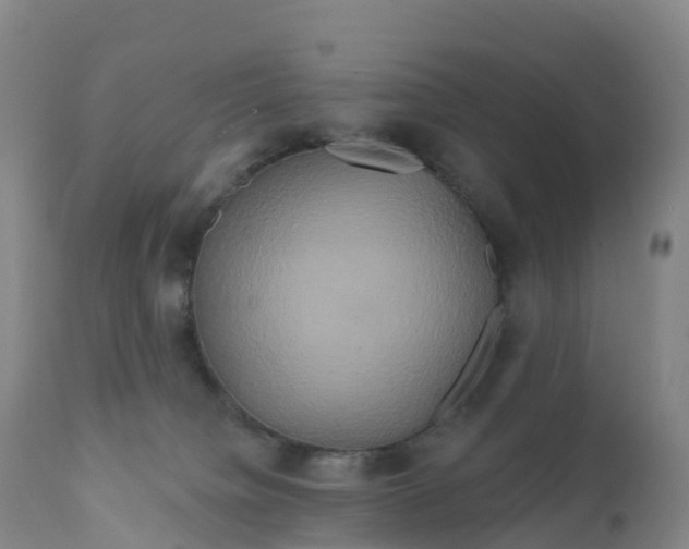 X0000111820084200908131533