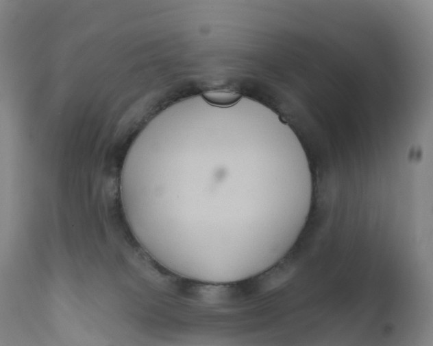 X0000111820085200908131533