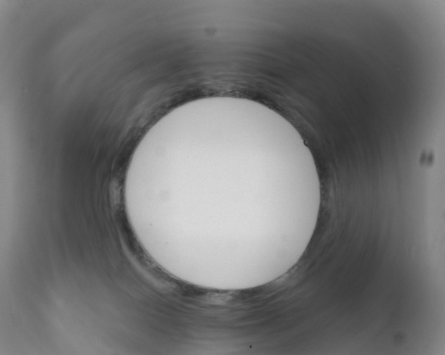 X0000111820086200908131533