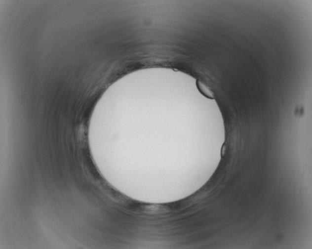 X0000111820087200908131533