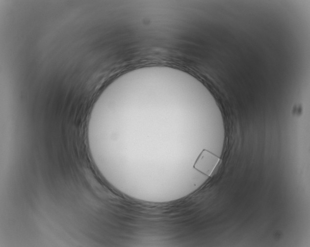 X0000111820088200908131533