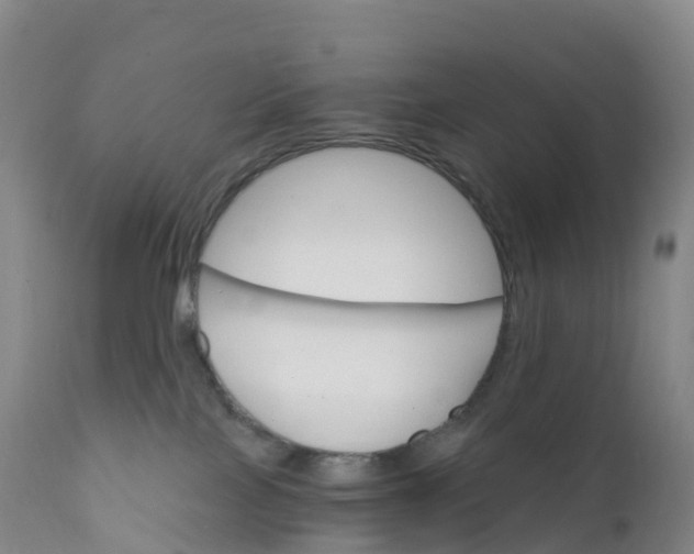 X0000111820089200908131533