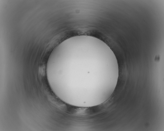 X0000111820090200908131533