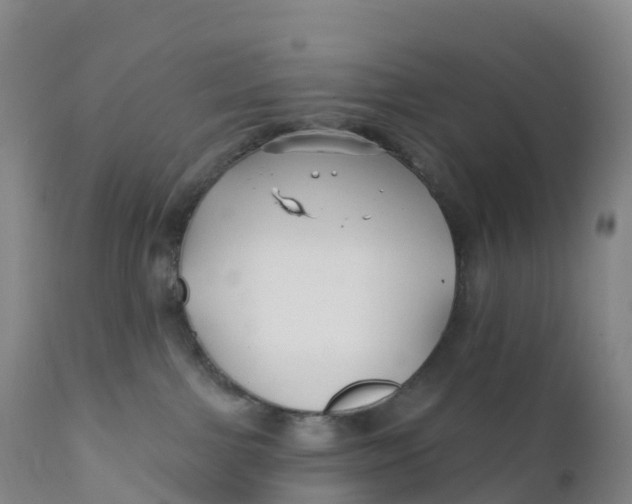 X0000111820091200908131533