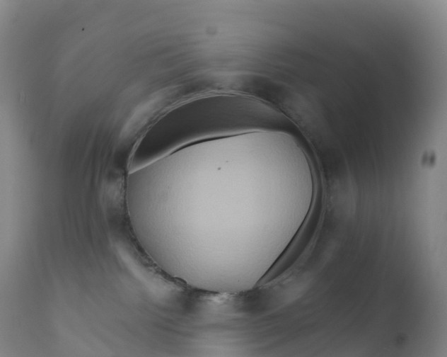 X0000111820092200908131533