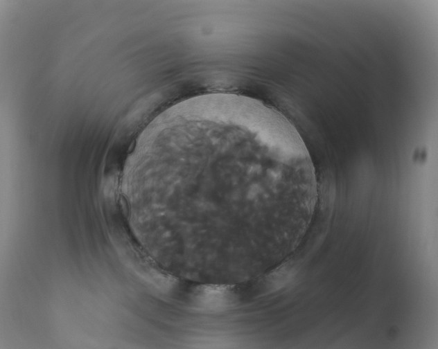 X0000111820093200908131533