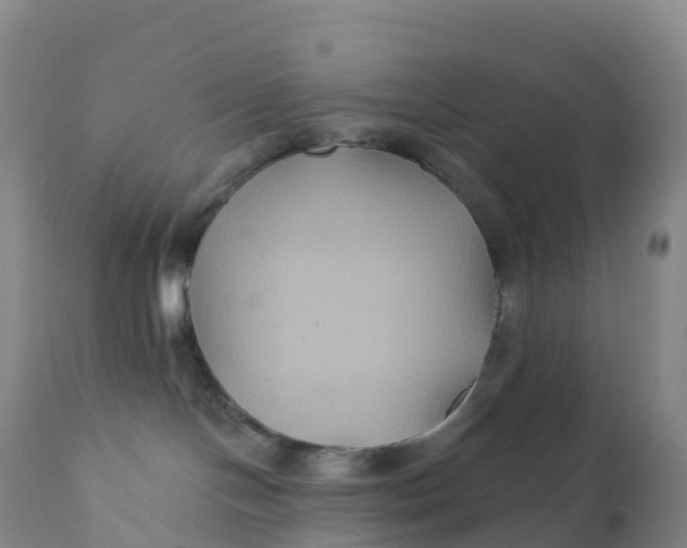 X0000111820094200908131533