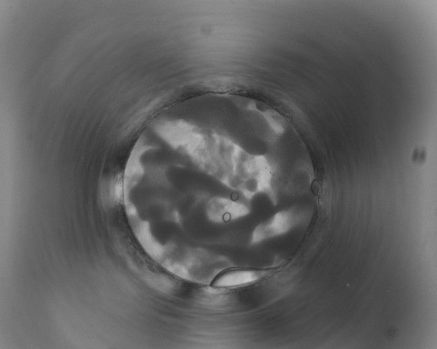 X0000111820095200908131533