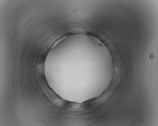 X0000111820096200908131533