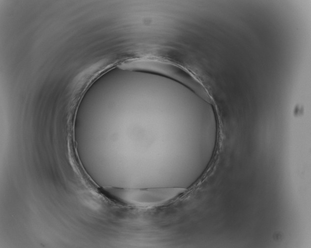 X0000111820097200908131532