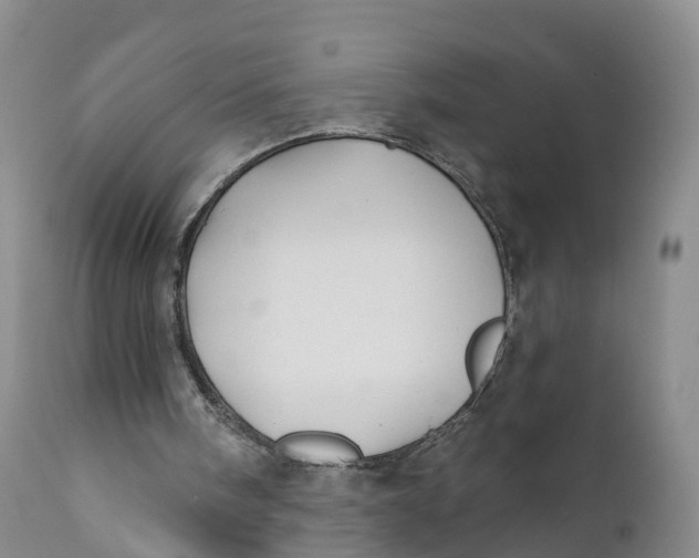 X0000111820098200908131532