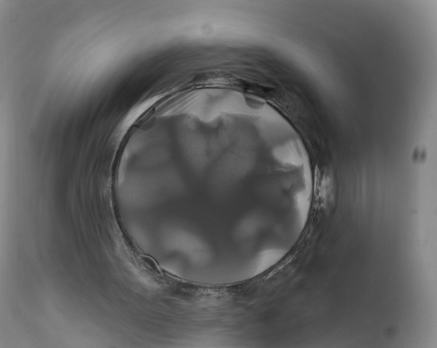 X0000111820099200908131532