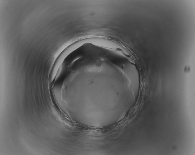 X0000111820100200908131532