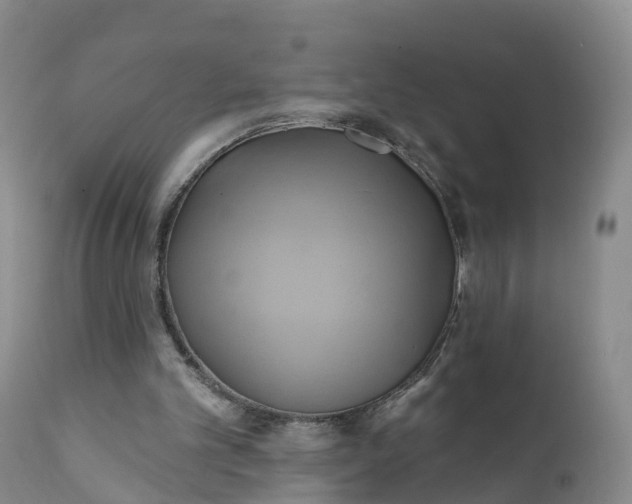 X0000111820101200908131532