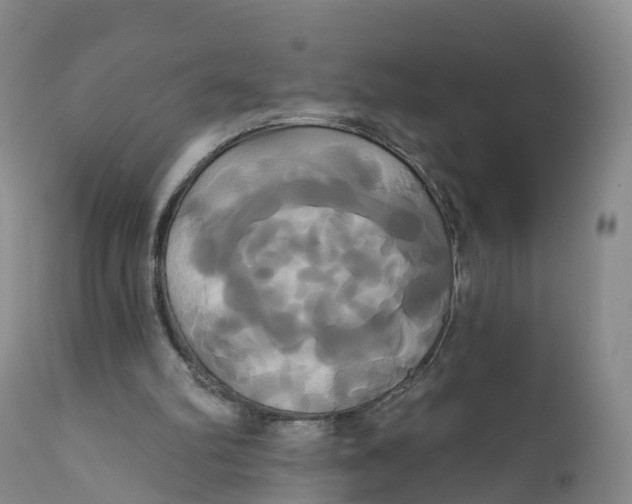 X0000111820102200908131532