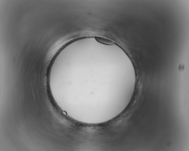 X0000111820103200908131532