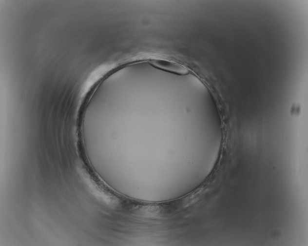 X0000111820104200908131532