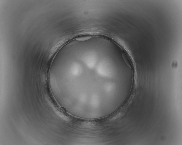 X0000111820105200908131532