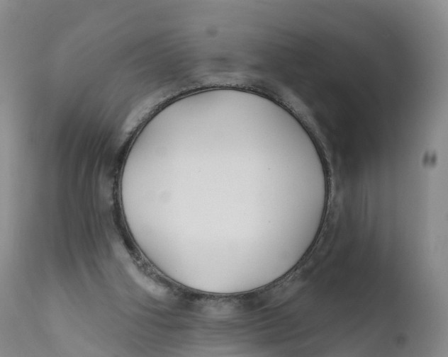 X0000111820106200908131532