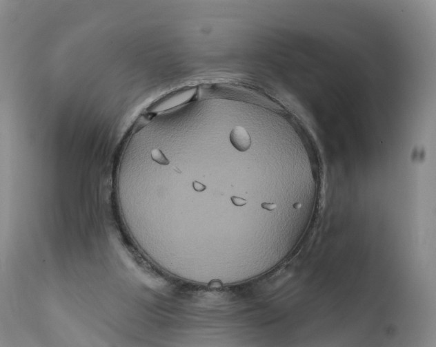 X0000111820107200908131532