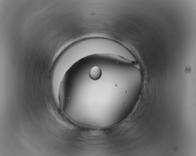 X0000111820108200908131532