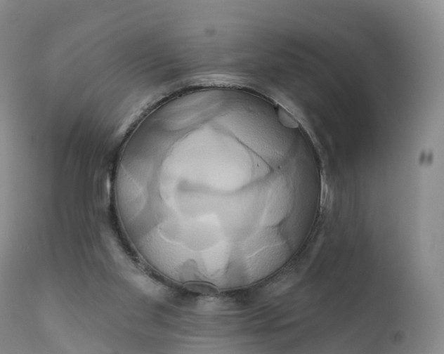 X0000111820109200908131532