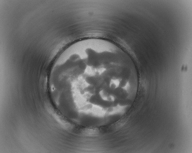 X0000111820110200908131532