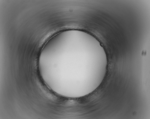 X0000111820111200908131532