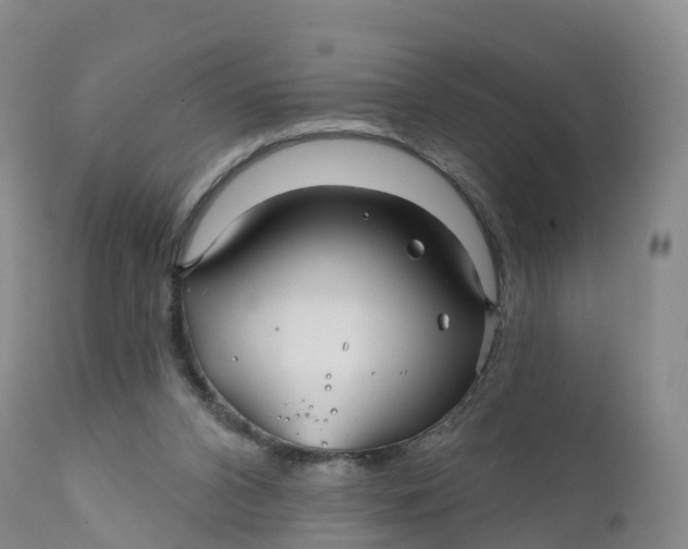 X0000111820112200908131532