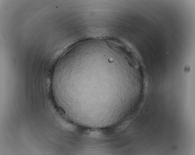 X0000111820113200908131532