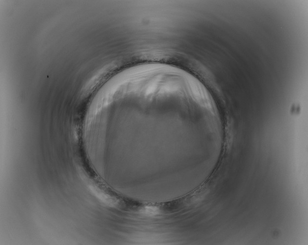 X0000111820114200908131532