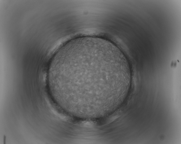 X0000111820115200908131532