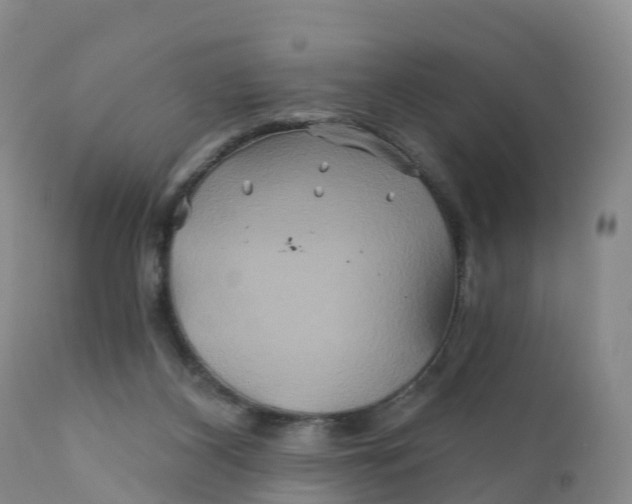 X0000111820116200908131532