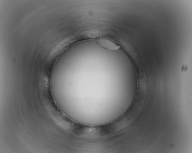 X0000111820117200908131532