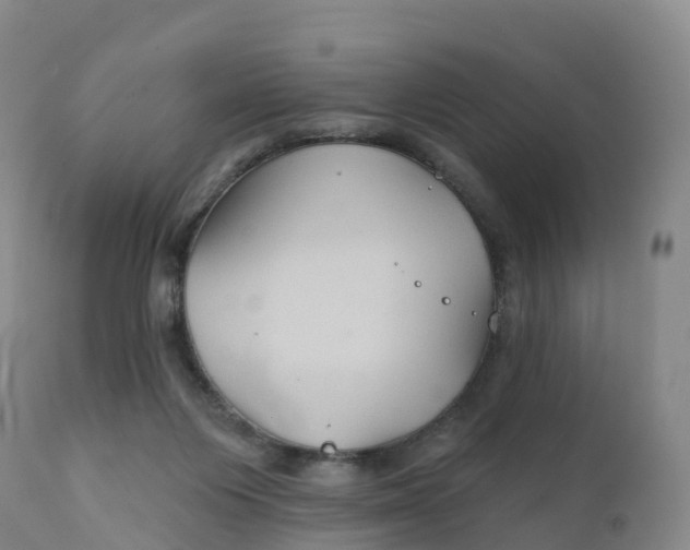 X0000111820119200908131532