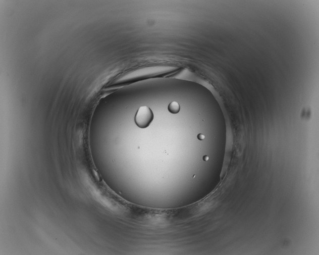 X0000111820120200908131532