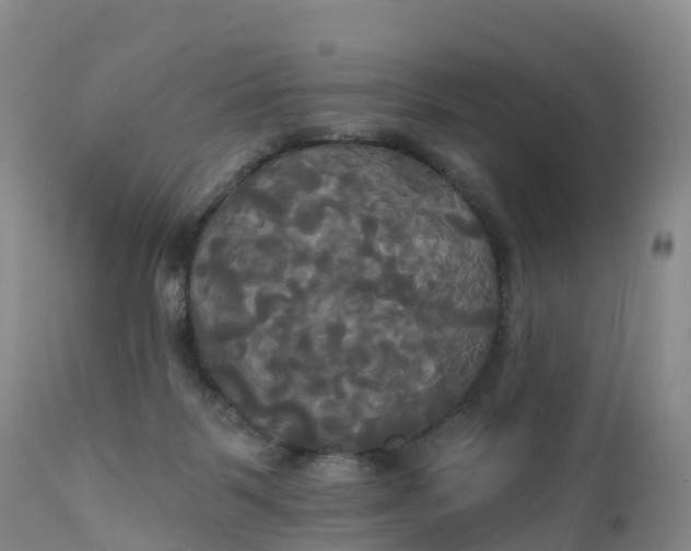 X0000111820123200908131532