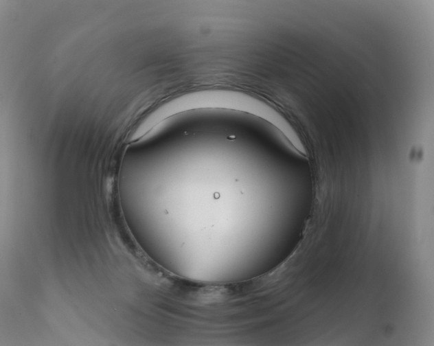 X0000111820124200908131532