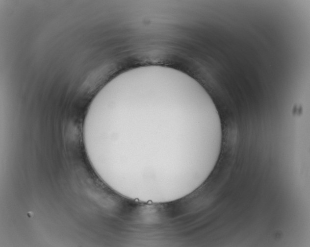 X0000111820126200908131532