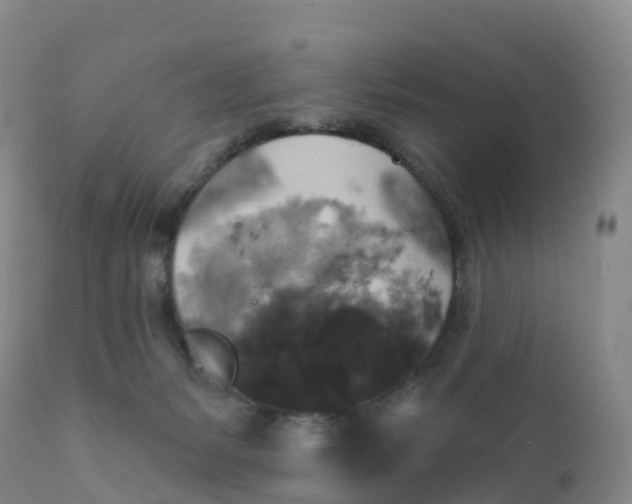 X0000111820127200908131532