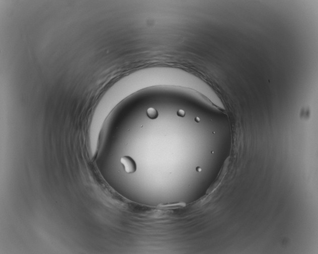 X0000111820128200908131532