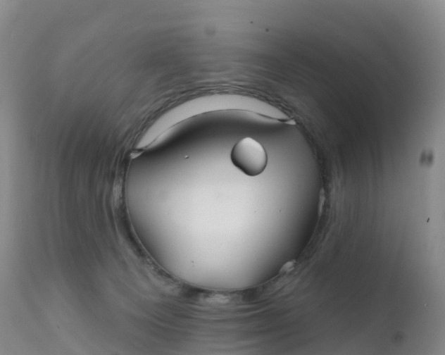 X0000111820129200908131532