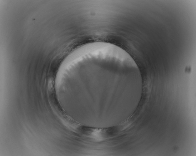 X0000111820130200908131532